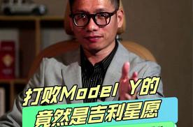 打败Model Y的，竟然是吉利星愿！