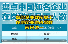 比亚迪总是做的很多但吹的很少，你一家在岗残疾员工人数，就占了1/4