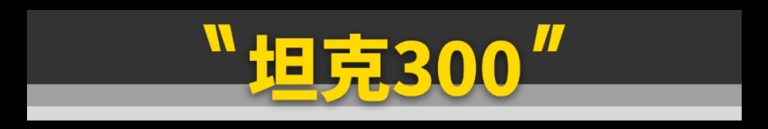 这11台车，又好又保值
