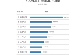 2024年上半年车企销量出炉！比亚迪热销160万辆，奇瑞轻松破百万