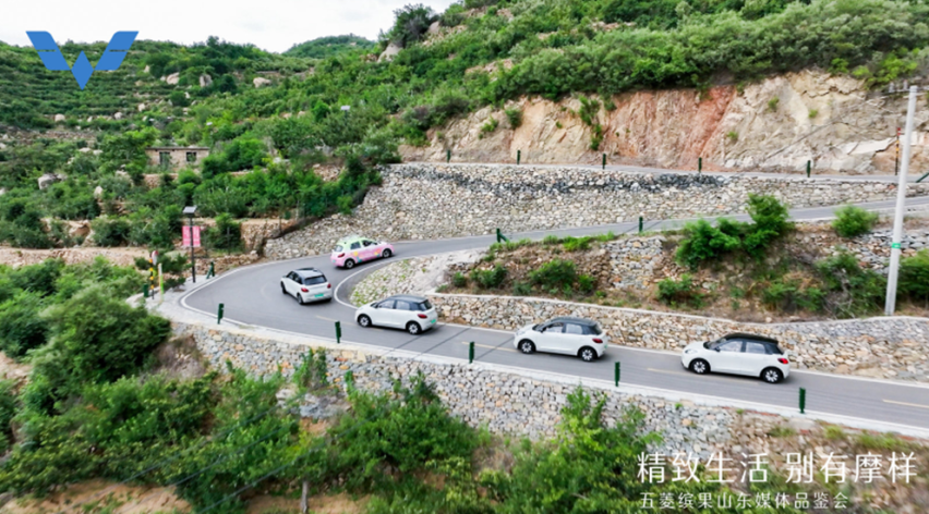 求解：想入手大空间五门纯电车！答：选五菱缤果