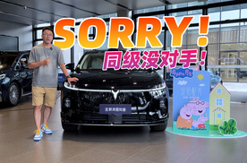 是实力还是吹嘘，到店看看全新岚图知音，25万内没一个能打？