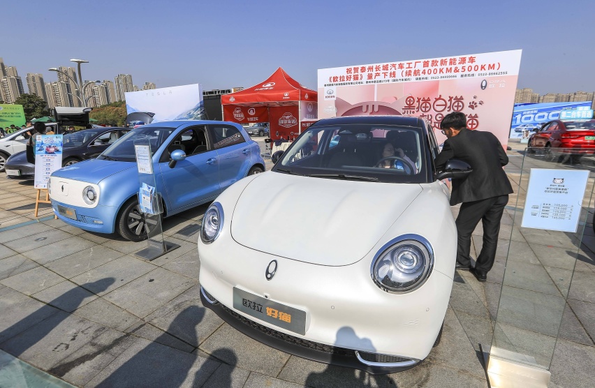 农村只买微型电动车？新能能源车下乡，瓜分5亿农村市场