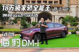 海豹DM-i 静态评测：与海豹有何不同？