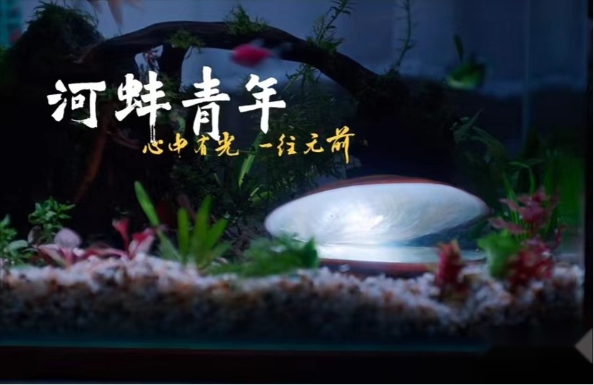 比亚迪与年轻人的对话火了｜坚持热爱是最重要的营养