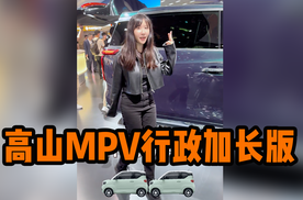 请问这种车是谈商务还是谈恋爱用的呀？