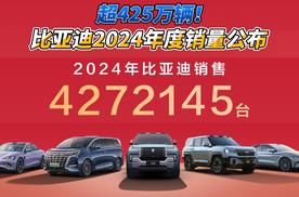 超425万辆！比亚迪2024年度销量公布