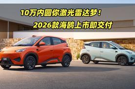 10万内圆你激光雷达梦！2026款海鸥上市即交付