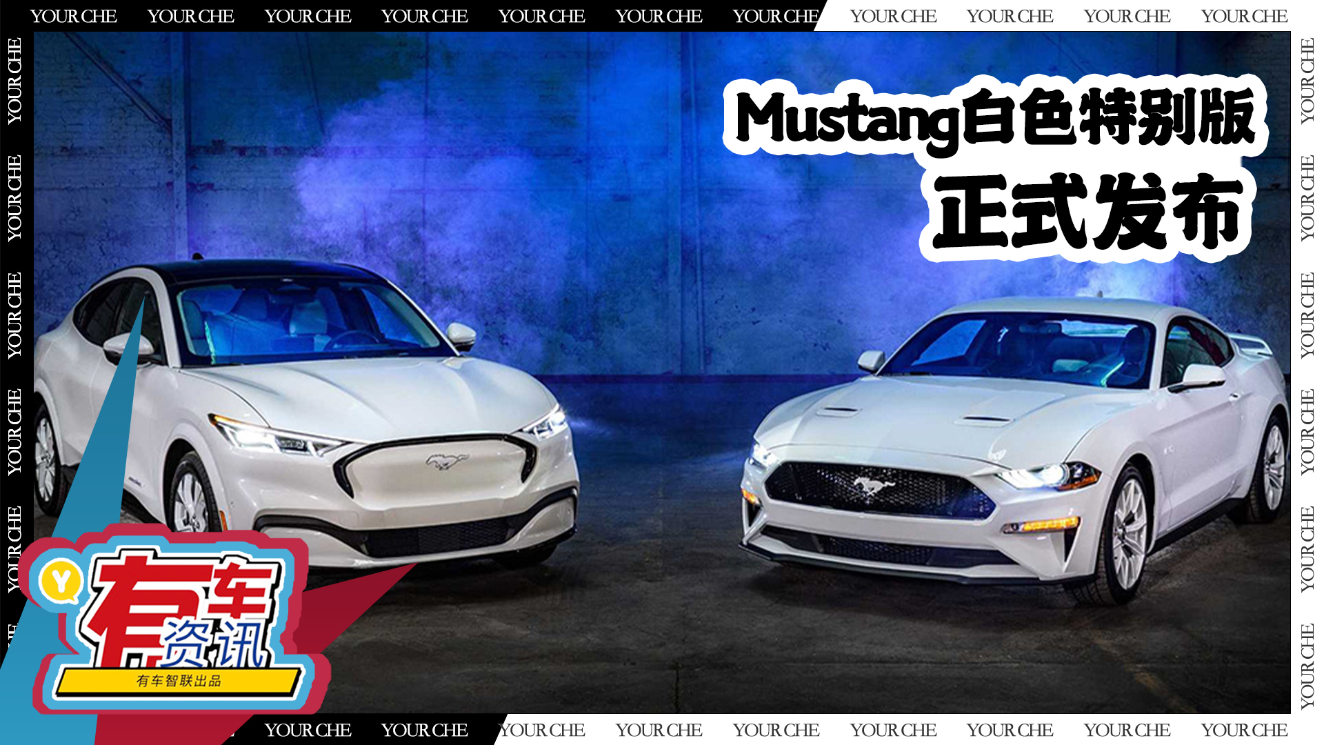 ɫԪؼӳ Mustangɫ؄el