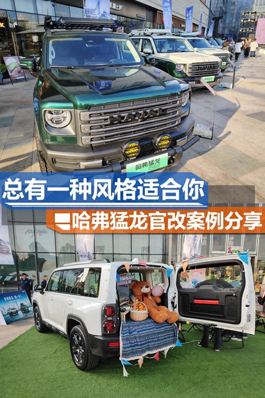 总有一种风格适合你！哈弗猛龙官改案例分享