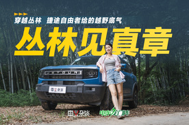 还是那句话，你只管踩油门，剩下的就交给XWD