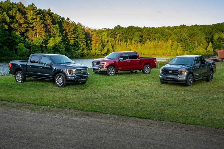 福特Maverick发布，入门级皮卡圆你“F 150初体验”之梦