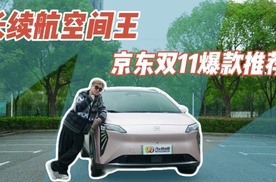 不到11万就能拿下的610长续航SUV，京东双11爆款推荐！