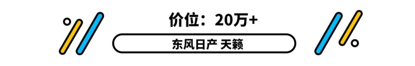 这是不懂车？不，这是懂生活