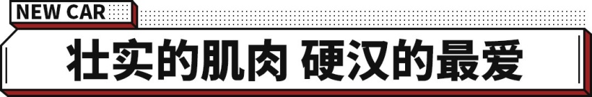 1万元=10马力？这福特F-150很狂很野的大猛兽你不看看？