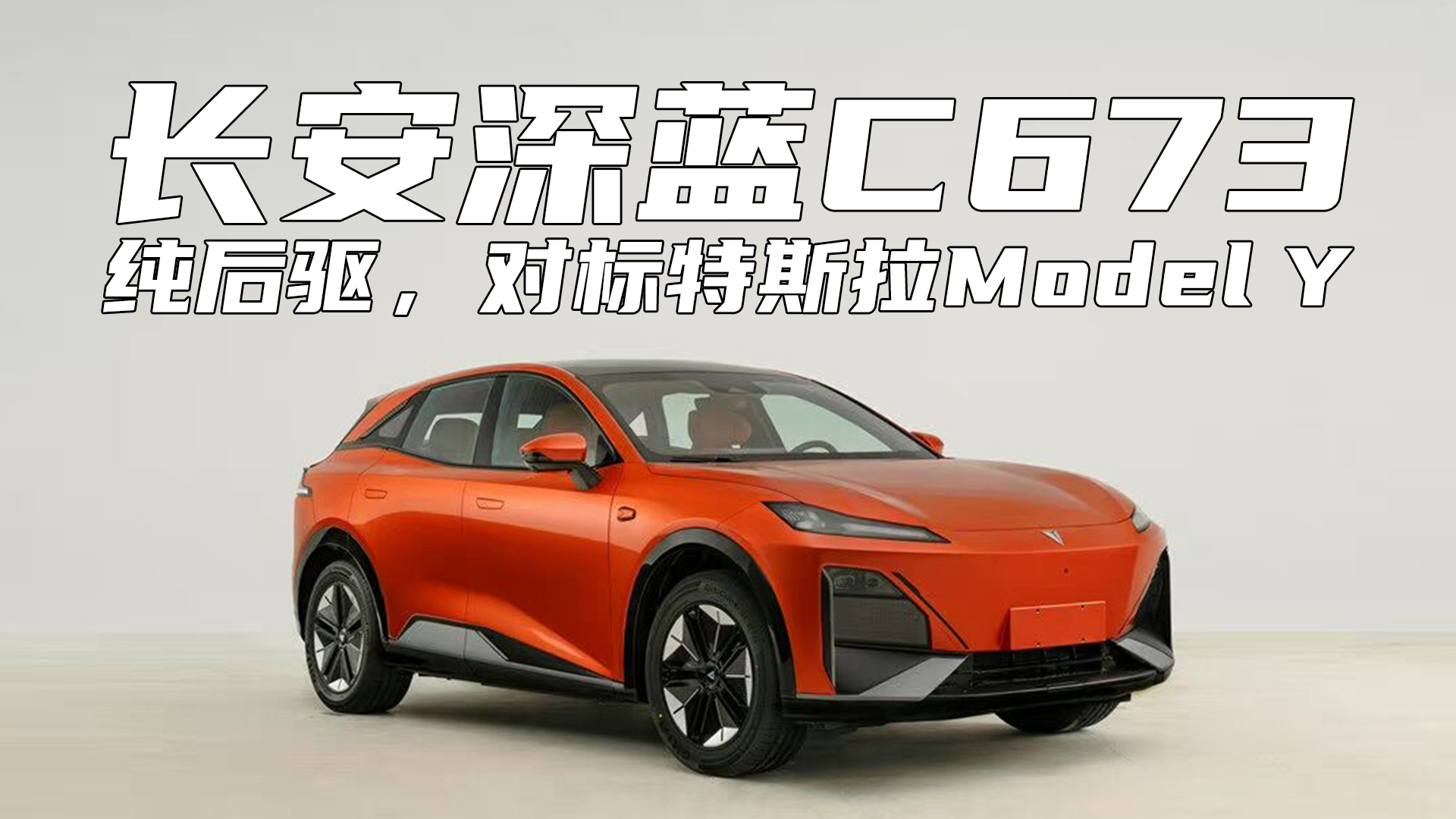 (q)(du)(bio)˹Model YL{(ln)C673