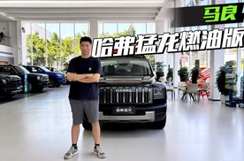 顶配不到15万，哈弗猛龙燃油版够硬吗？