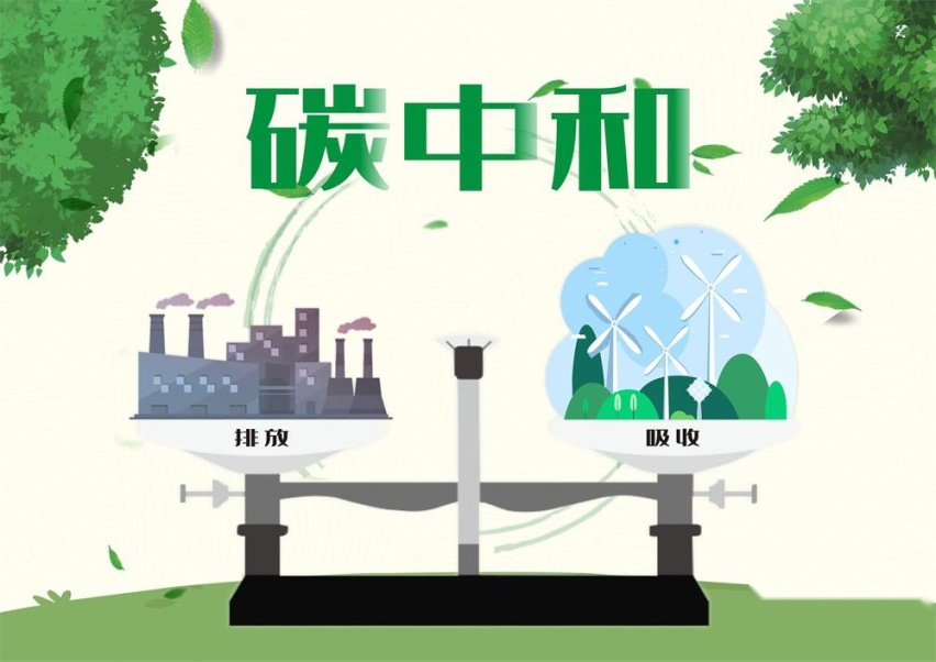 数字背后的审时度势 浅析比亚迪汽车成功背后的故事