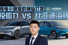 极狐T1 vs 比亚迪海豚 纯电小钢炮的神仙打架