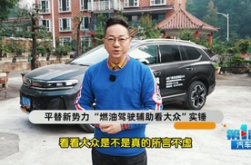 平替新势力 “燃油驾驶辅助看大众”实锤