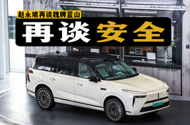 再谈安全！赵勇坡直言，这是魏牌蓝山的根！