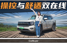 限时预售换新价11.28万元起：哈弗大狗PLUS试驾报告来了