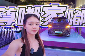 全新GL8陆尊头等舱上市33.99万起的价格，在意的哪些点？