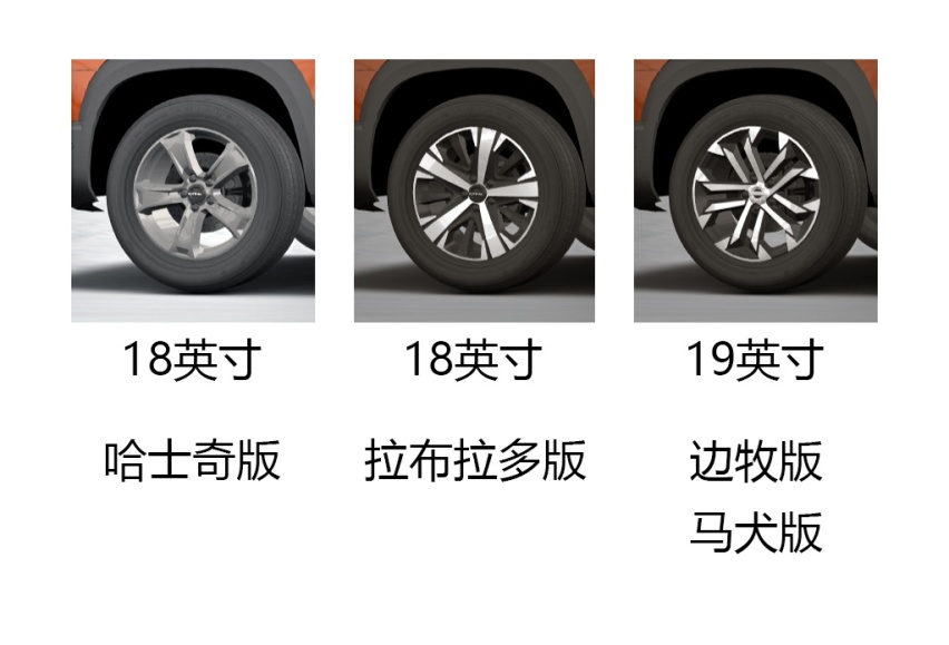 选最聪明的狗 ，没毛病，苑叔聊哈弗大狗哪款值