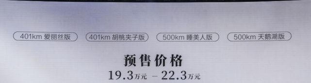 欧拉芭蕾猫，预售价20万左右，续航500km，买不买？