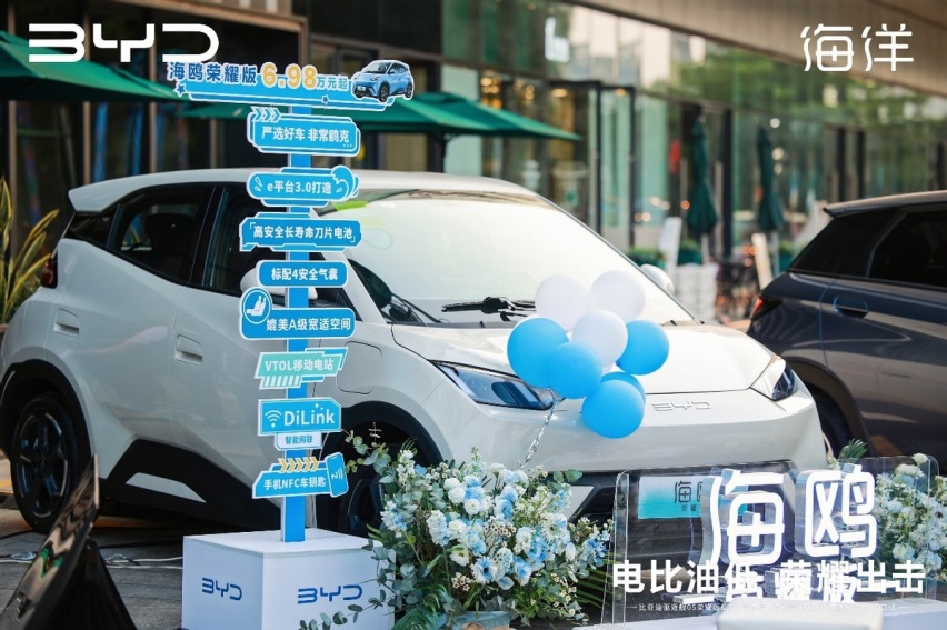最高降价2.2万元，2024款驱逐舰05/海豚/海鸥登陆海南