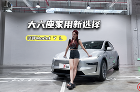 大六座有些啥彩蛋？详评Model Y L