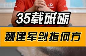 长城汽车35 ，魏建军破局立新
