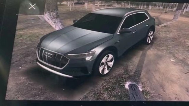雷达全砍掉，中国的特斯拉将成特供车，幽灵刹车仍难避免？
