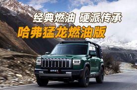 全地形+纯燃油动力！哈弗猛龙燃油版解锁纯粹越野乐趣