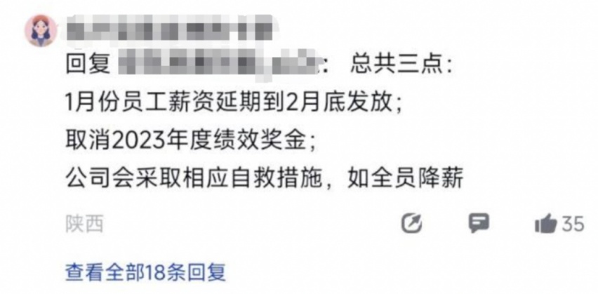 “黑马”变“威马”，2024高合还挺得住吗？