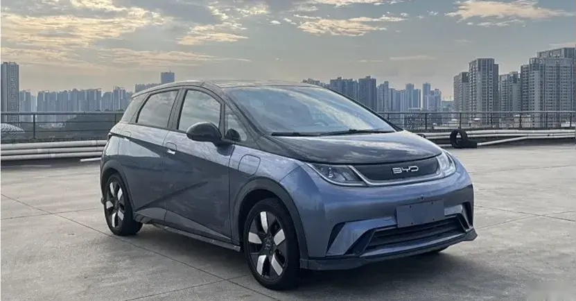 海豚将推更强动力高功率版；智己L6上市，不输小米！