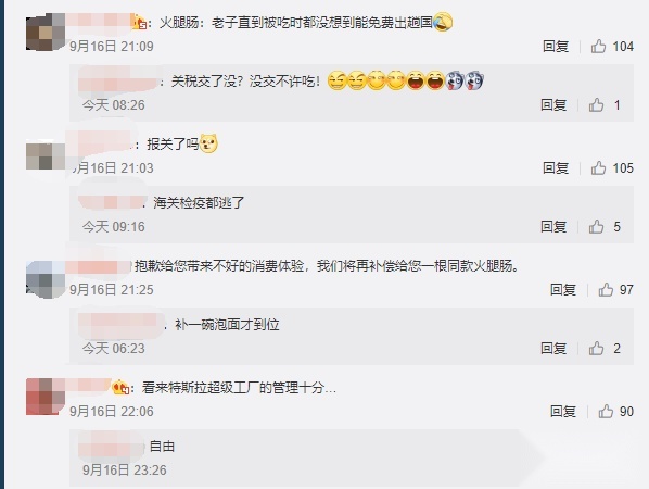 买中国产Model Y送火腿肠？挪威车主提新车，扶手箱有惊喜