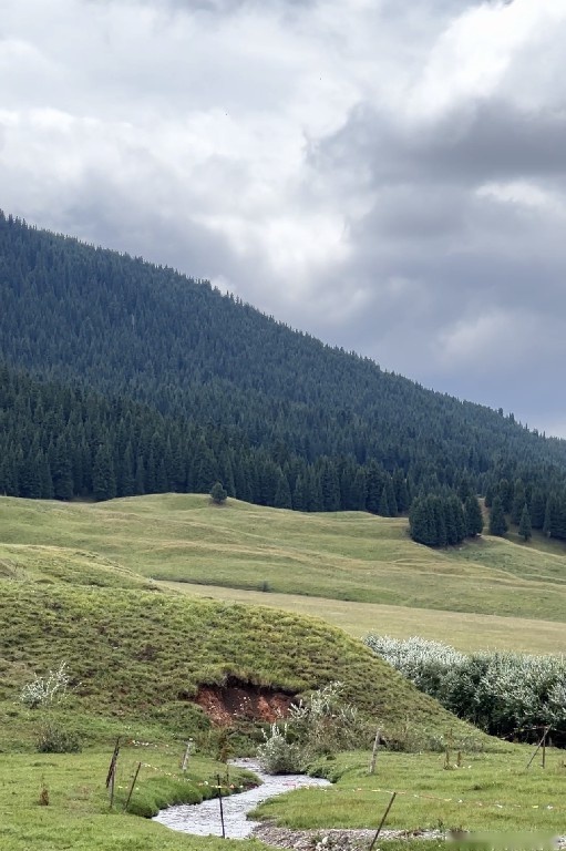 驾驶一汽-大众揽巡翻越天山，漫漫长路倍感惬意