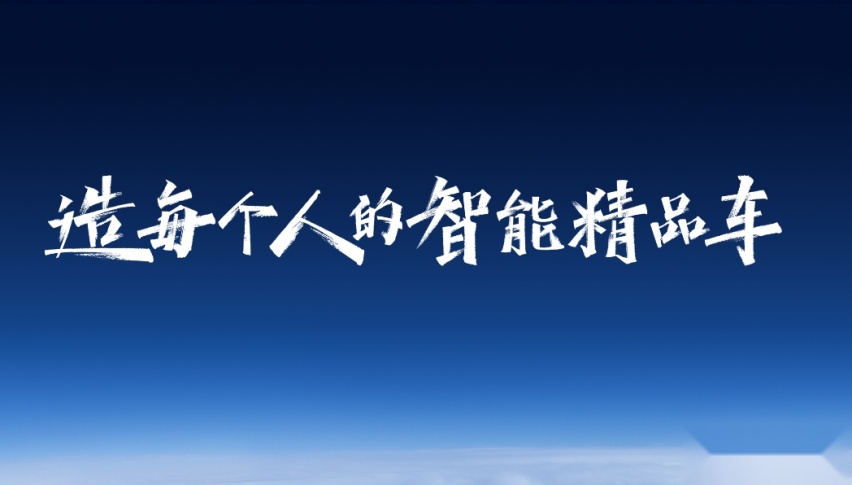 没办法，吉利品牌已经在next level了