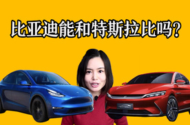 明年，比亚迪将干翻特斯拉？