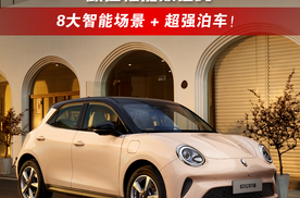 2025款欧拉好猫颜值性能双在线