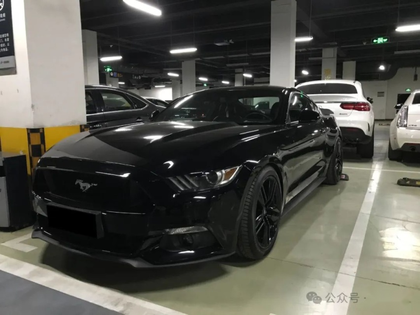福特Mustang到奥迪S5再到宝马M5，漫漫玩车路终于圆了V8梦