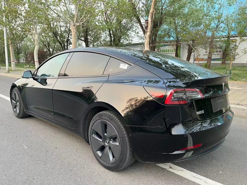 特斯拉Model 3：电动时代的先锋与革命者
