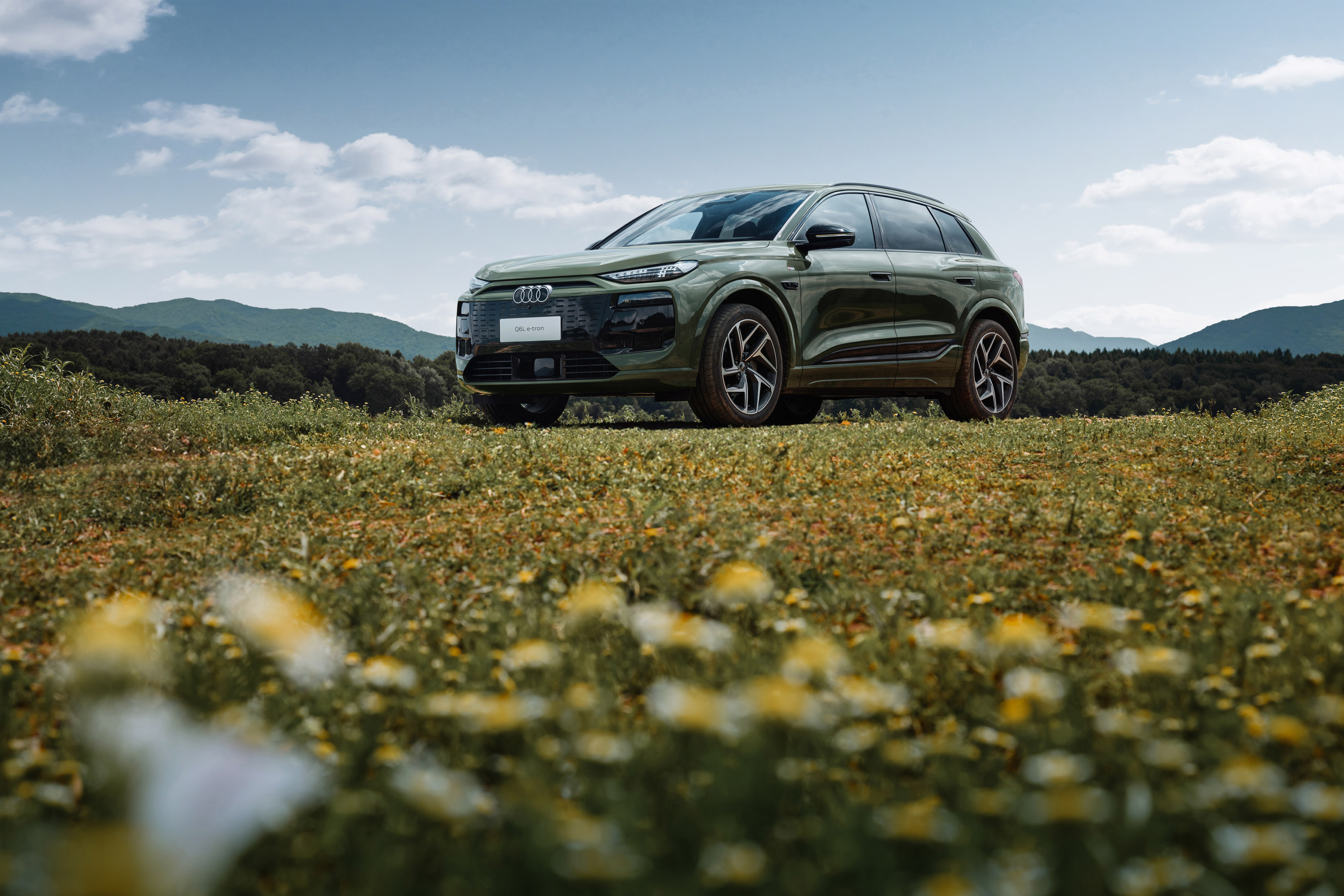 r늳+ȫ800Vƽ_:һWQ6L e-tron늾?