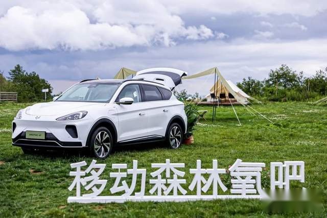 试驾极狐阿尔法T：把森林装进车里是一种什么体验？