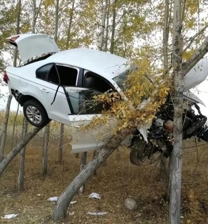 一年两箱油人称鬼见愁 聊聊什么是两箱油仙人