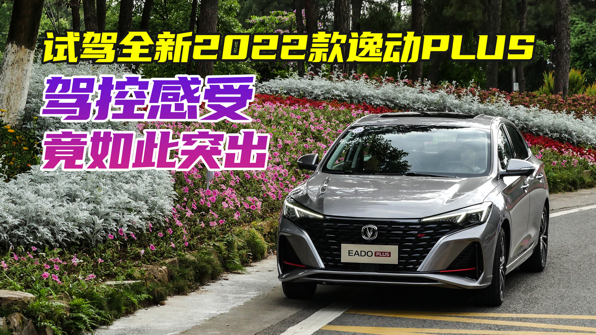 ԇ{wحȫ2022݄PLUS Մ {ظܾͺܳ