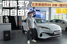 大空间+超多实体按键，海豹06 DM-i旅行版竞争力有多强？