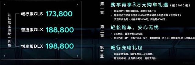 主打运动的菲斯塔纯电动上市，能否成为合资纯电轿车新标杆？