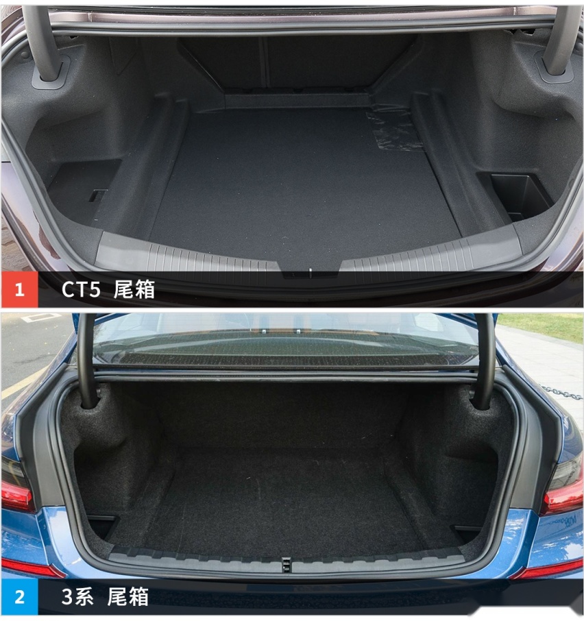 都说自己是运动B级车，到底谁会更运动？